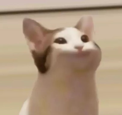 popcat